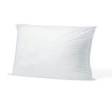 Load image into Gallery viewer, Indoor Outdoor Pillow Form 12" x 18"