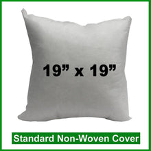 Load image into Gallery viewer, Pillow Form 19&quot; x 19&quot; (Polyester Fill) (Individually Bagged &amp; Compressed)
