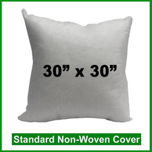 Load image into Gallery viewer, Pillow Form 30&quot; x 30&quot; (Polyester Fill) (Individually Bagged &amp; Compressed)