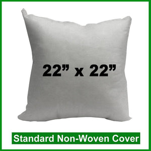 Pillow Form 22" x 22" (Polyester Fill) + Canvas Cover Bundle