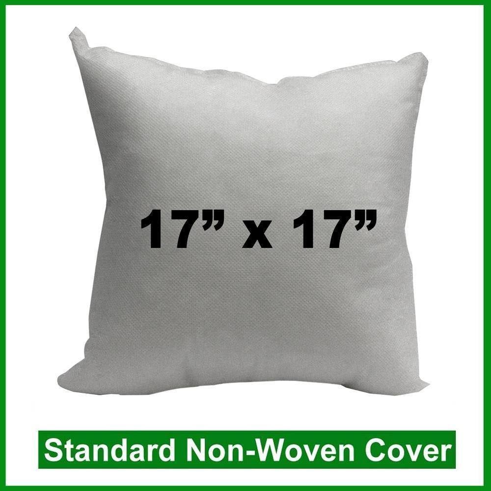 Pillow Form 17