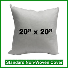 Load image into Gallery viewer, Pillow Form 20&quot; x 20&quot; (Polyester Fill) (Individually Bagged &amp; Compressed)