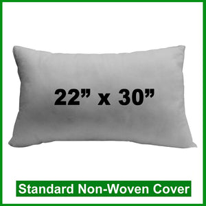 Pillow Form 22" x 30" (Polyester Fill) rectangular