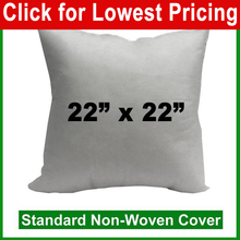 Load image into Gallery viewer, Pillow Form 22&quot; x 22&quot; (Polyester Fill) + Canvas Cover Bundle
