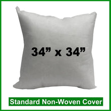 Load image into Gallery viewer, Pillow Form 34&quot; x 34&quot; (Polyester Fill)